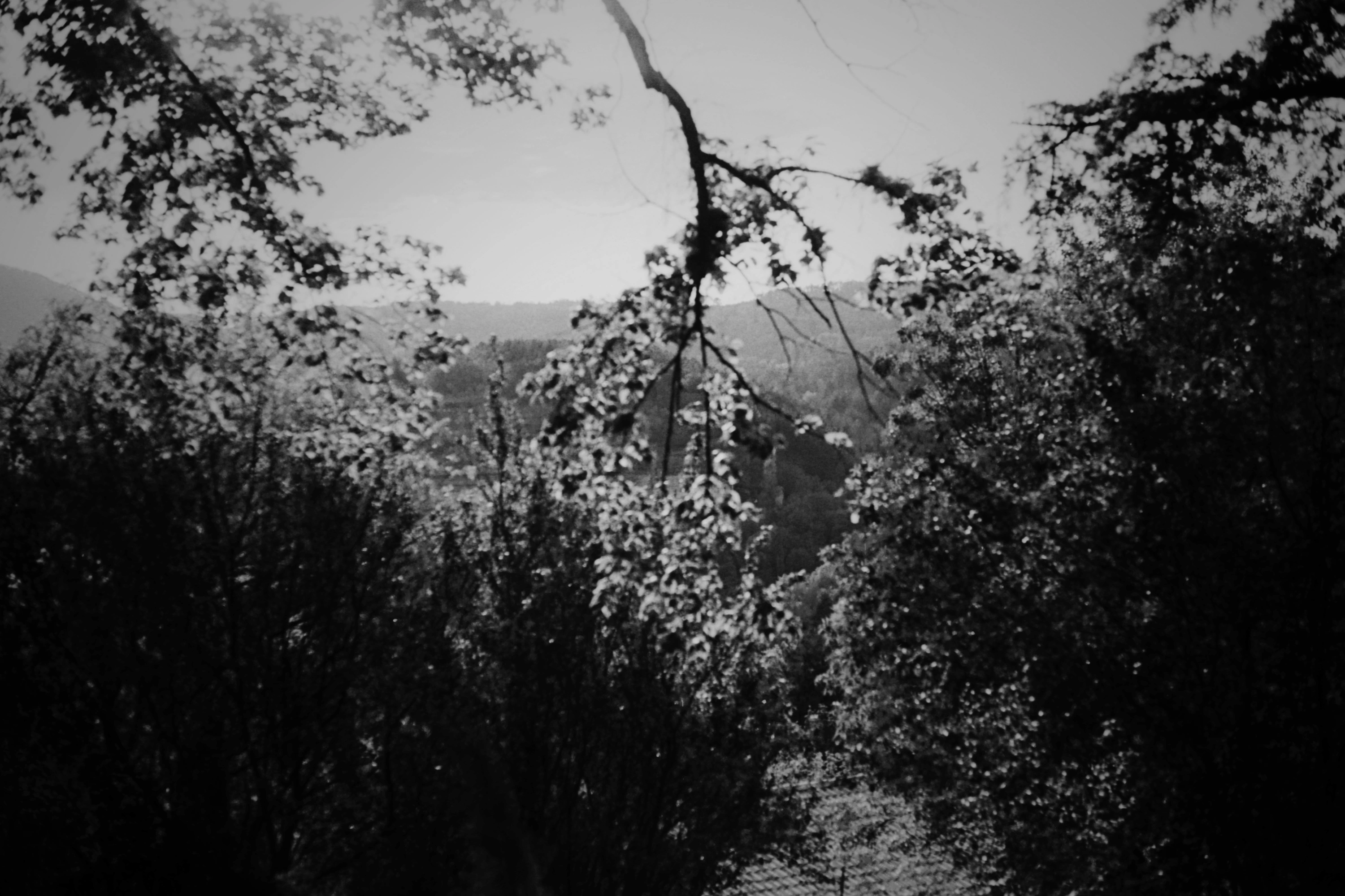 Les choses cachées, galerie